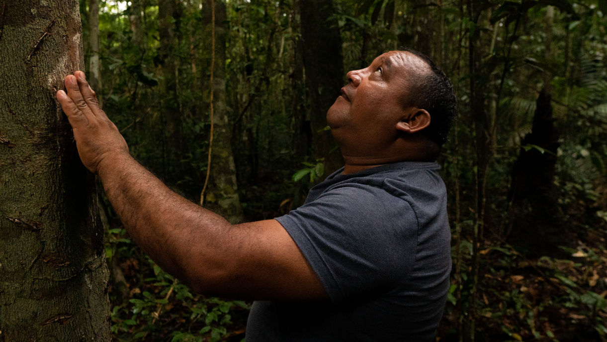 Brigada Amazônia